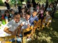 /album/fotogaleria-rozlucka-predskolakov1/289622546-782345023138181-8453471193566226857-n-jpg/