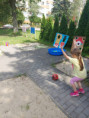 /album/fotogaleria-cirkusovy-den/447958648-982593153867688-3814355893180047472-n-jpg/