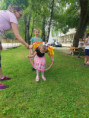 /album/fotogaleria-cirkusovy-den/447958760-982591343867869-5858067603001651357-n-jpg/